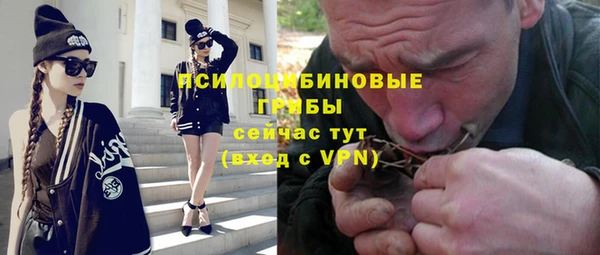 индика Медногорск