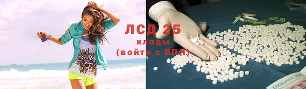 прущие грибы Магас