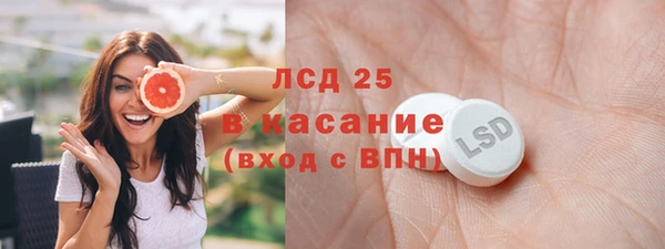 индика Медногорск