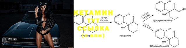 герыч Медвежьегорск