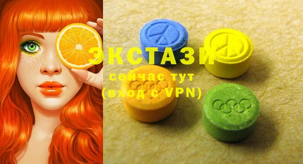 индика Медногорск