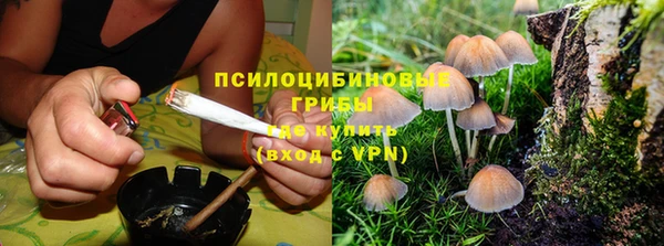 кристаллы Мегион