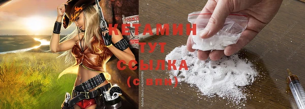 индика Медногорск