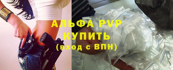 индика Медногорск