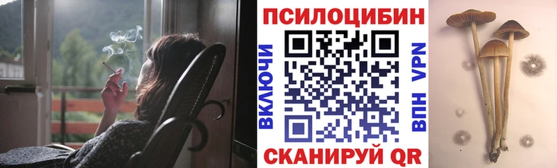 Галлюциногенные грибы Psilocybine cubensis  Неман 